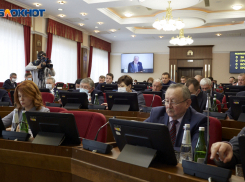 Выделение более 60 миллионов на бесплатные лекарства для детей из многодетных семей поддержали в думе Ставрополья