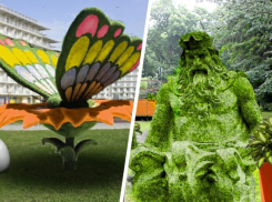 Мэрия Ставрополя объявила тендер на 2 миллиона для закупки пяти фигур из растений