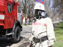 «Гранта» разбилась всмятку после ДТП с деревом на Ставрополье — погиб водитель 