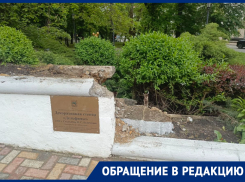 Исчезли окончательно? Пропажа декоративных дельфинов из центра Ставрополя обеспокоила горожан