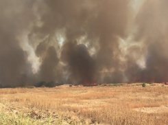 Живописная картина пожара на поле у Старомарьевского шоссе рядом со Ставрополем попала на видео