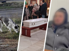 Убить нельзя оставить? Разорванную стаей девочку и возможное усыпление собак всю неделю обсуждало Ставрополье