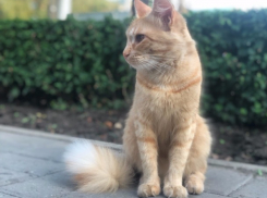 В первый день последнего месяца лета в Ставрополе обещают дождь