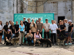 «Новые люди» превратили зоосубботник в ежегодную традицию в Ставрополе