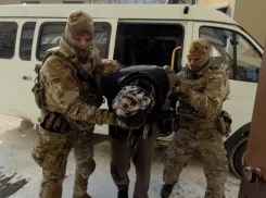 Серию заказанных из Украины терактов предотвратили силовики в Ставрополе