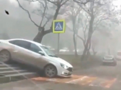 Автохам проехался по пешеходной лестнице в Пятигорске и попал на видео