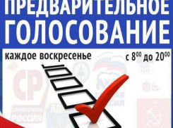 «Блокнот» запускает предварительное голосование перед выборами в Госдуму 