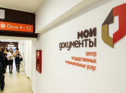 МФЦ запустит пилотный проект для бизнесменов Ставрополья
