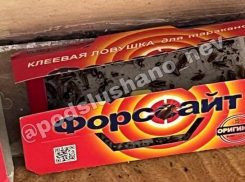 Полчища тараканов в элитной гимназии возмутили жителей и умилили мэра Невинномысска