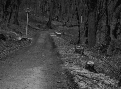 «Хозяева природы»: как ставропольские власти уничтожают заповедные земли региона