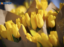 Букеты цветов из роз и хризантем для губернатора хочет закупить правительство Ставрополья за 1,2 миллиона рублей 