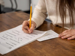 Ставропольцы хотели бы отмены ЕГЭ