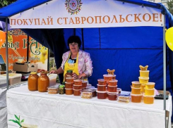 В Ставрополе 14 сентября пройдет праздничная ярмарка