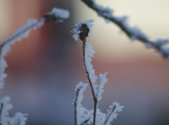 Сильный снег на Новый год: опубликовали подробный прогноз погоды для Ставропольского края на 31 декабря