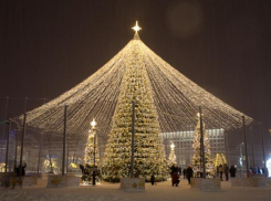 Новогодняя елка в Ставрополе могла стать самой дорогой в России