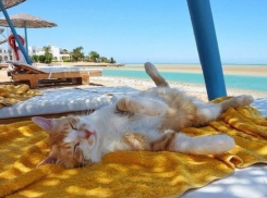 Самый дешевый способ добраться до моря из Ставрополя 