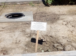 Табличка с описанием спиленных деревьев на эко-тропе вызвала насмешки жителей Буденновска