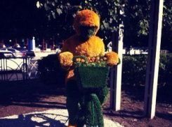 На памятник велосипедисту в Ставрополе снова напали вандалы