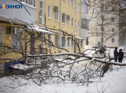Экстренные службы Ставрополя переведены в режим повышенной готовности из-за сильного ветра