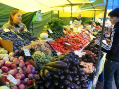 Городская ярмарка выходного дня пройдет 20 августа в Ставрополе