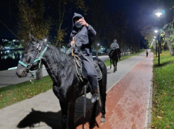 Избивший пенсионеров плеткой всадник из Кисловодска предстанет перед судом