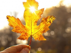 Заметное потепление ожидает жителей Ставрополя на выходных