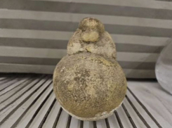 Камень продают на Ставрополье за 100 тысяч рублей из-за схожести с идолом