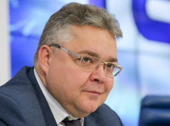 Губернатор попросил ставропольцев не есть сырое мясо