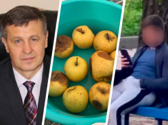 Гнилые фрукты в школах, миллионы у чиновников и онанист на детской площадке — что обсуждало Ставрополье 