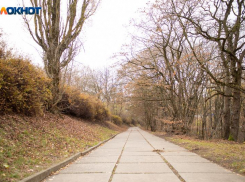 Стартующая в сентябре на Ставрополье Российская студенческая весна начнется с 22 градусов тепла