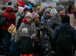 Беженцы из Украины смогут проголосовать в референдумах на Ставрополье