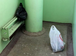 Ставропольцам рассказали, что делать, если соседи мусорят в подъезде