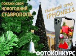 Администрация Ставрополя разыграет IPhone 11 в новогоднем фотоконкурсе