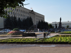 Многолетние ели на площади Ленина в Ставрополе хотят заменить 