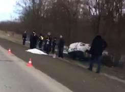 Девушка за рулем иномарки въехала в дерево и разбилась насмерть в Ставропольском крае