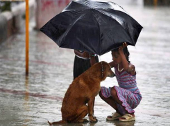 Дожди с грозой накроют с начала новой рабочей недели Ставрополье