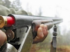 На Ставрополье преступники угрожали ружьем пастуху и застрелили двух овец