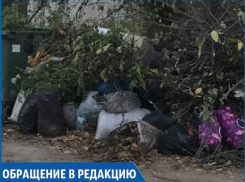 «На три улицы один мусорный контейнер», - жительница Ставрополя
