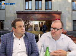 Под стук сапог и звон арестантских браслетов: кого потеряла и приобрела дума Ставрополья в 2025 году