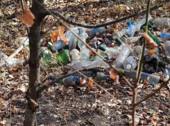 Георгиевская городская больница на Ставрополье окружена горами мусора