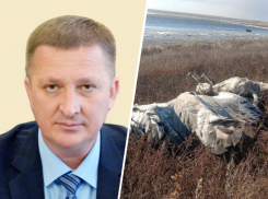 Крыс травить будут с осторожностью: на Ставрополье обсудили вопросы гибели диких животных