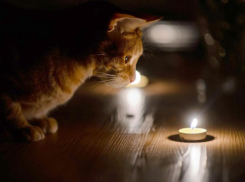 Жителей района Мамайка в Ставрополе ожидает отключение света в понедельник