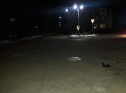 Трусливый водитель сбил насмерть пешехода и скрылся с места аварии на Ставрополье 