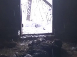 Видео ликвидации террористов на Ставрополье появилось в сети