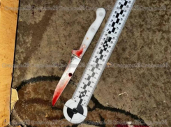 Жителя Изобильного обвиняют в убийстве брата из-за разговора о работе