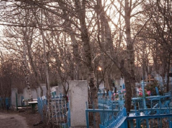 Ставропольцы не могут добраться до кладбища без автомобиля 