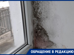 «Доступа к кислороду нет»: ставропольчанка с 8-месячным сыном чуть не задохнулись в детской больнице из-за плесени