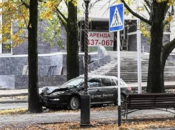 «Древесно-транспортное происшествие» произошло в Ставрополе