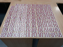 Посылку из Индии с запрещенными капсулами изъяли на таможне в Минводах