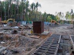 Городской лес под застройку незаконно отдали пятигорские власти